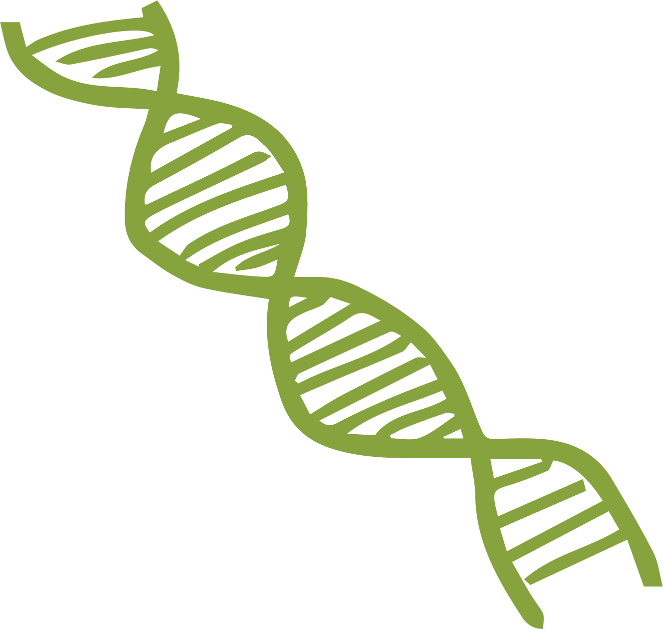 DNA